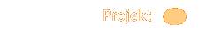 Projekt